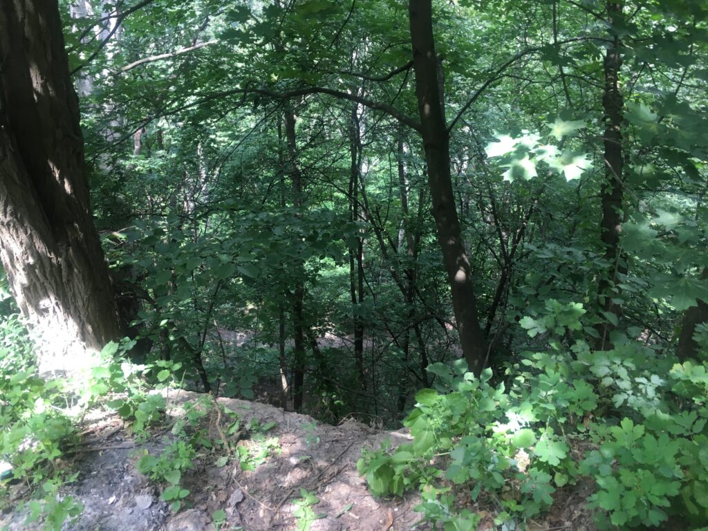 babi_yar_ravine