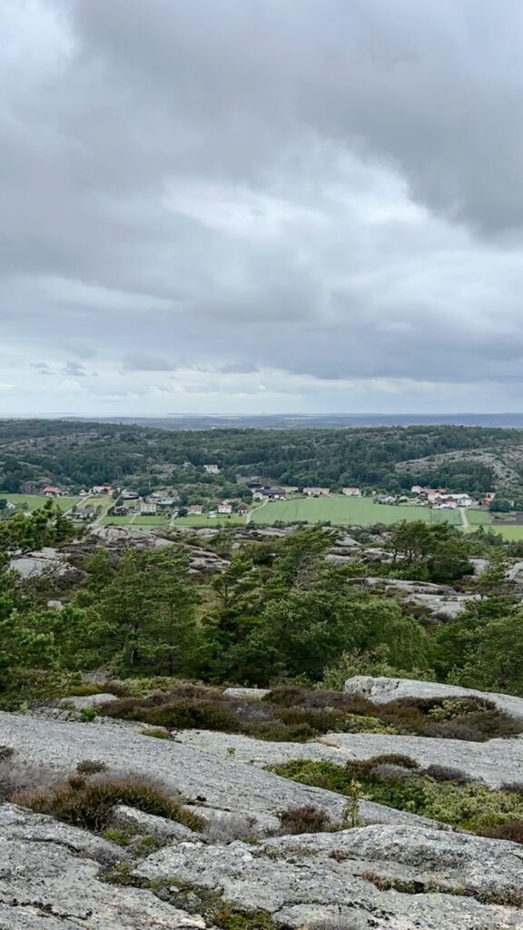 vetteberget
