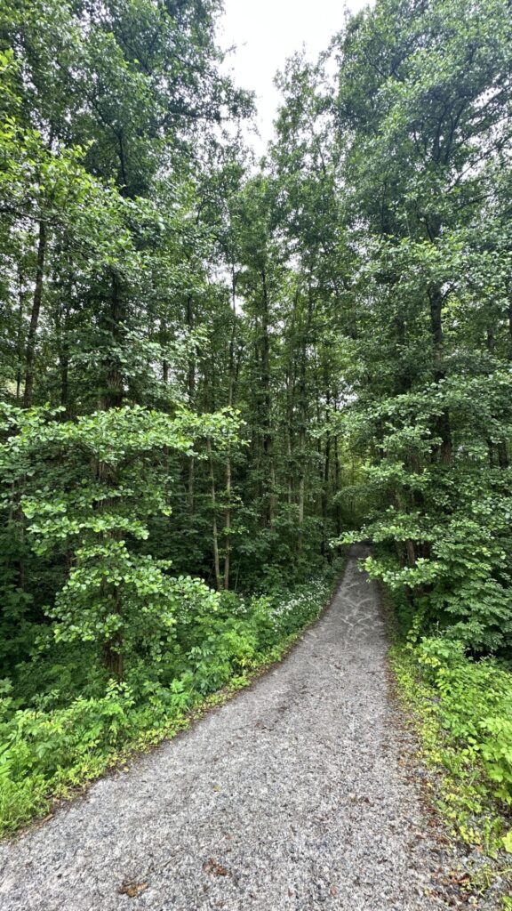 vetteberget-hiking
